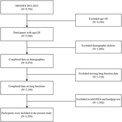 Associations between the muscle quality index and adult lung functions from NHANES 2011–2012